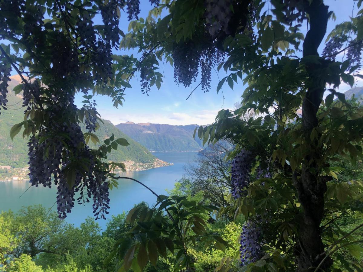 B&B Villa Le Ortensie Faggeto Lario Dış mekan fotoğraf